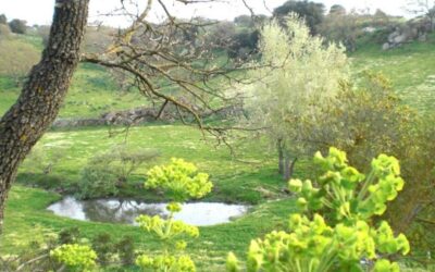 Weekend del benessere e laboratori di cucina